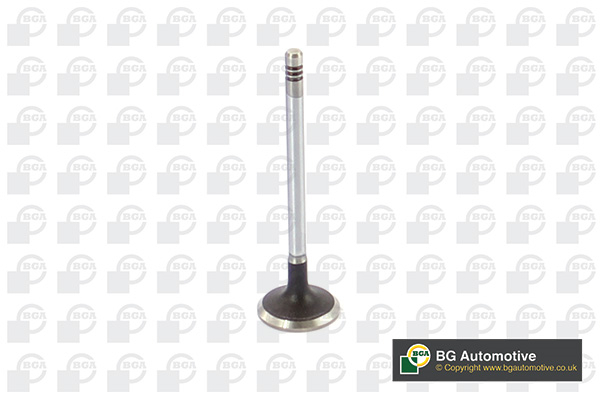 BGA V424831 Inlet Valve