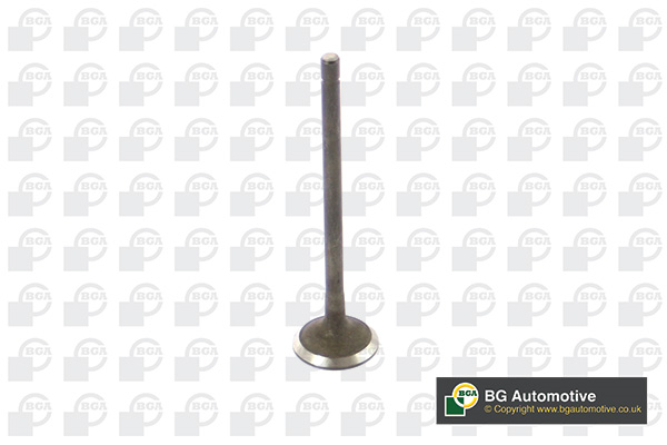 BGA V541212 Exhaust Valve
