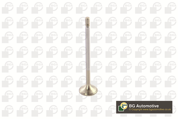 BGA V560010 Exhaust Valve