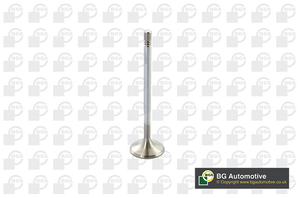 BGA V560011 Inlet Valve