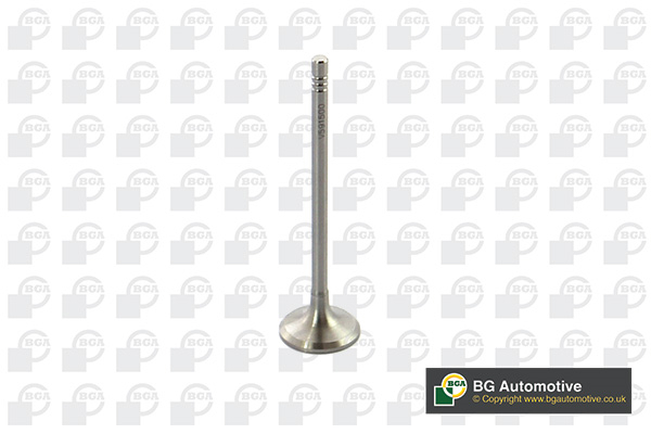 BGA V591500 Inlet Valve