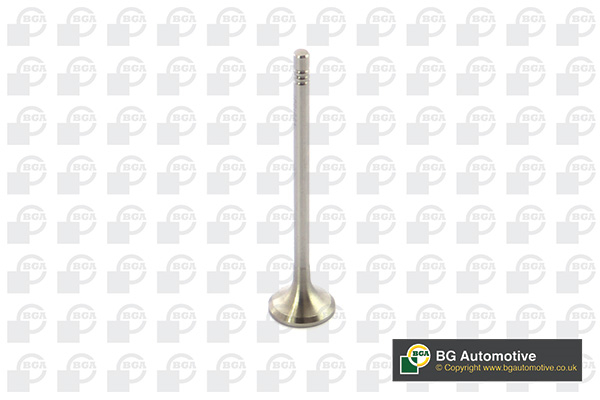 BGA V591501 Exhaust Valve