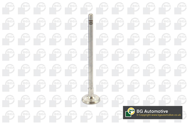 BGA V737875 Exhaust Valve