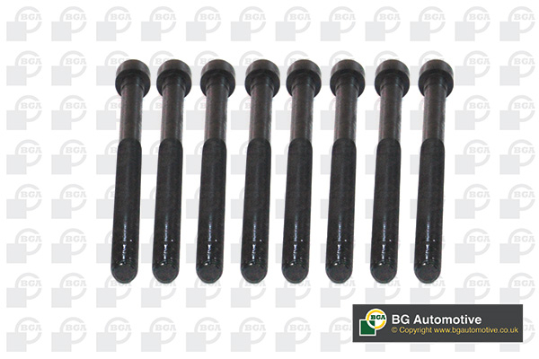 BGA BK5916 Cylinder Head Bolts