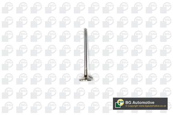 BGA V141081 Exhaust Valve