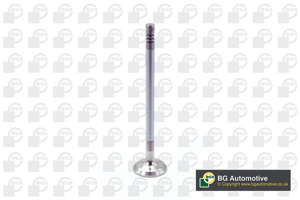 BGA V203633 Exhaust Valve