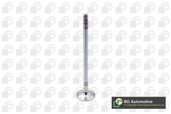 BGA V204955 Exhaust Valve
