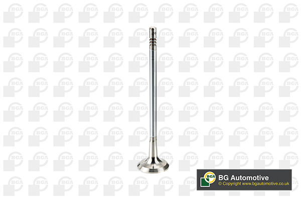 BGA V200000 Exhaust Valve