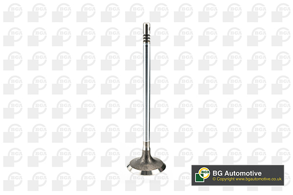 BGA V200001 Inlet Valve