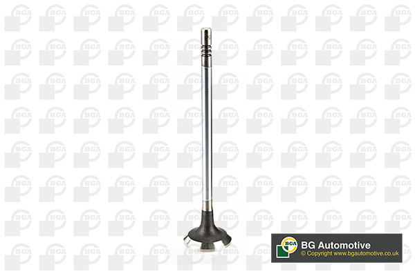 BGA V200264 Exhaust Valve