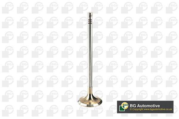 BGA V205096 Inlet Valve