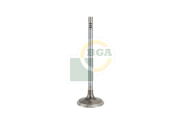 BGA V200263 Inlet Valve
