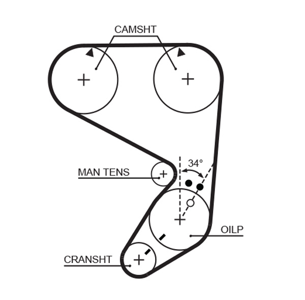 Gates 5022 Timing Belt