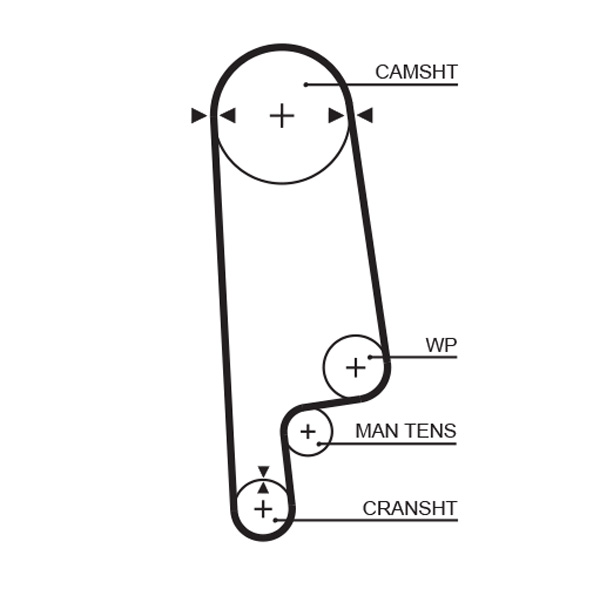 Gates 5084XS Timing Belt