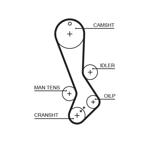 Gates 5282XS Timing Belt