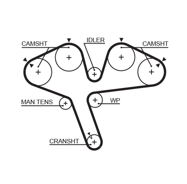 Gates 5376XS Timing Belt