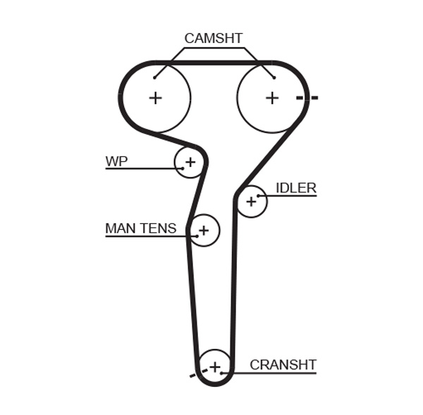 Gates 5423XS Timing Belt