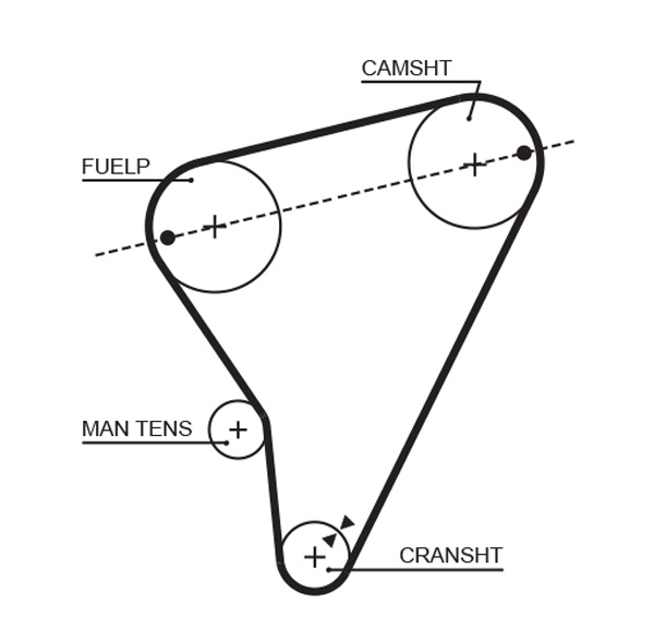 Gates 5023 Timing Belt