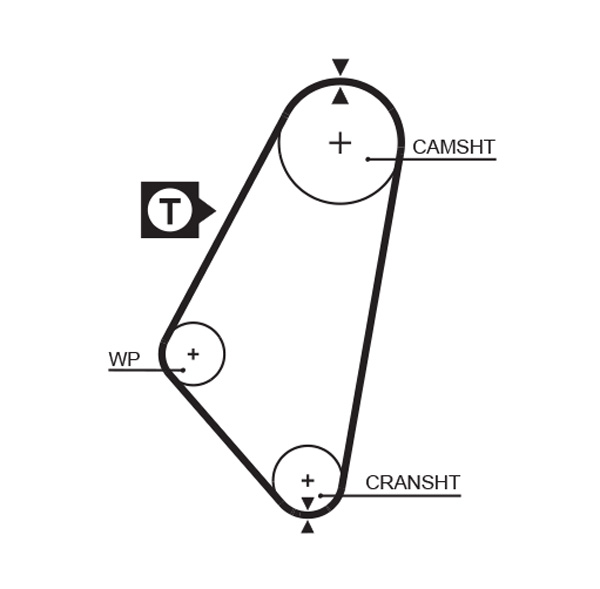 Gates 5083 Timing Belt