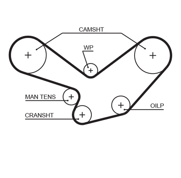 Gates 5096 Timing Belt