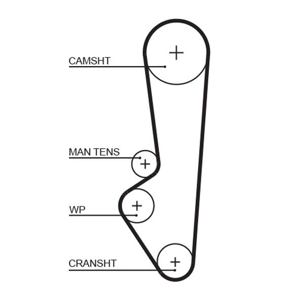 Gates 5097 Timing Belt
