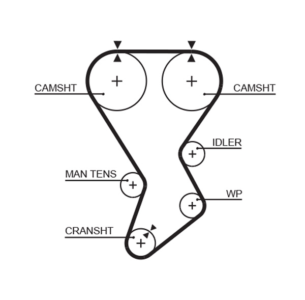 Gates 5351XS Timing Belt