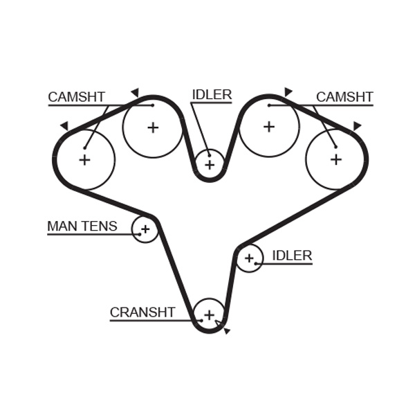 Gates T251RB Racing Timing Belt