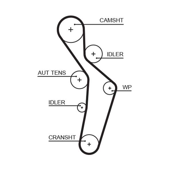 Gates 5616XS Timing Belt