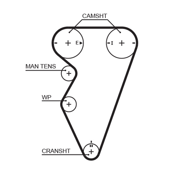 Gates 5416XS Timing Belt