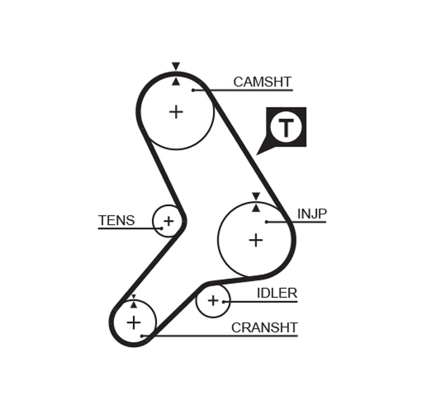 Gates 5281 Timing Belt