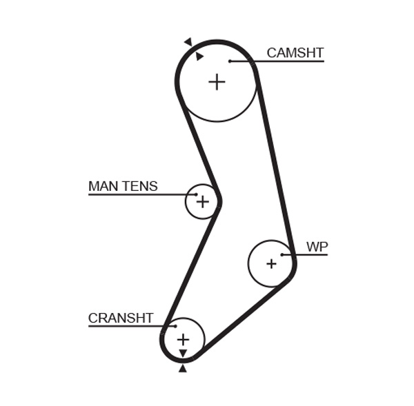 Gates 5288 Timing Belt