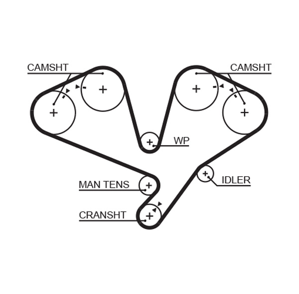 Gates 5353XS Timing Belt