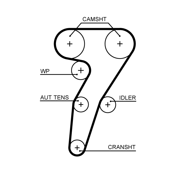 Gates 5653XS Timing Belt