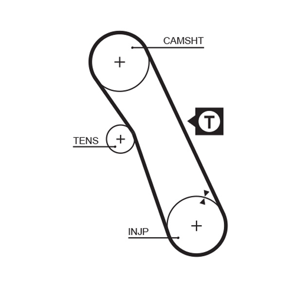 Gates 5055XS Timing Belt
