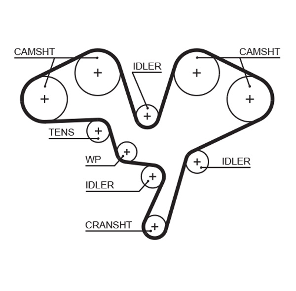 Gates 5602XS Timing Belt