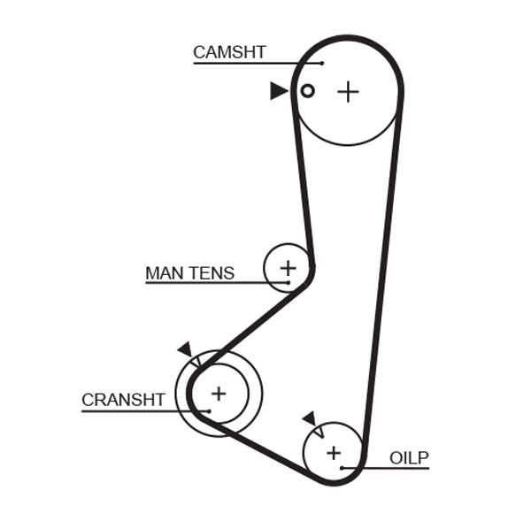 Gates 5115 Timing Belt