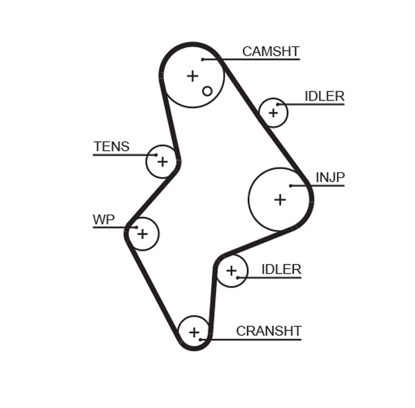 Gates 5658XS Timing Belt
