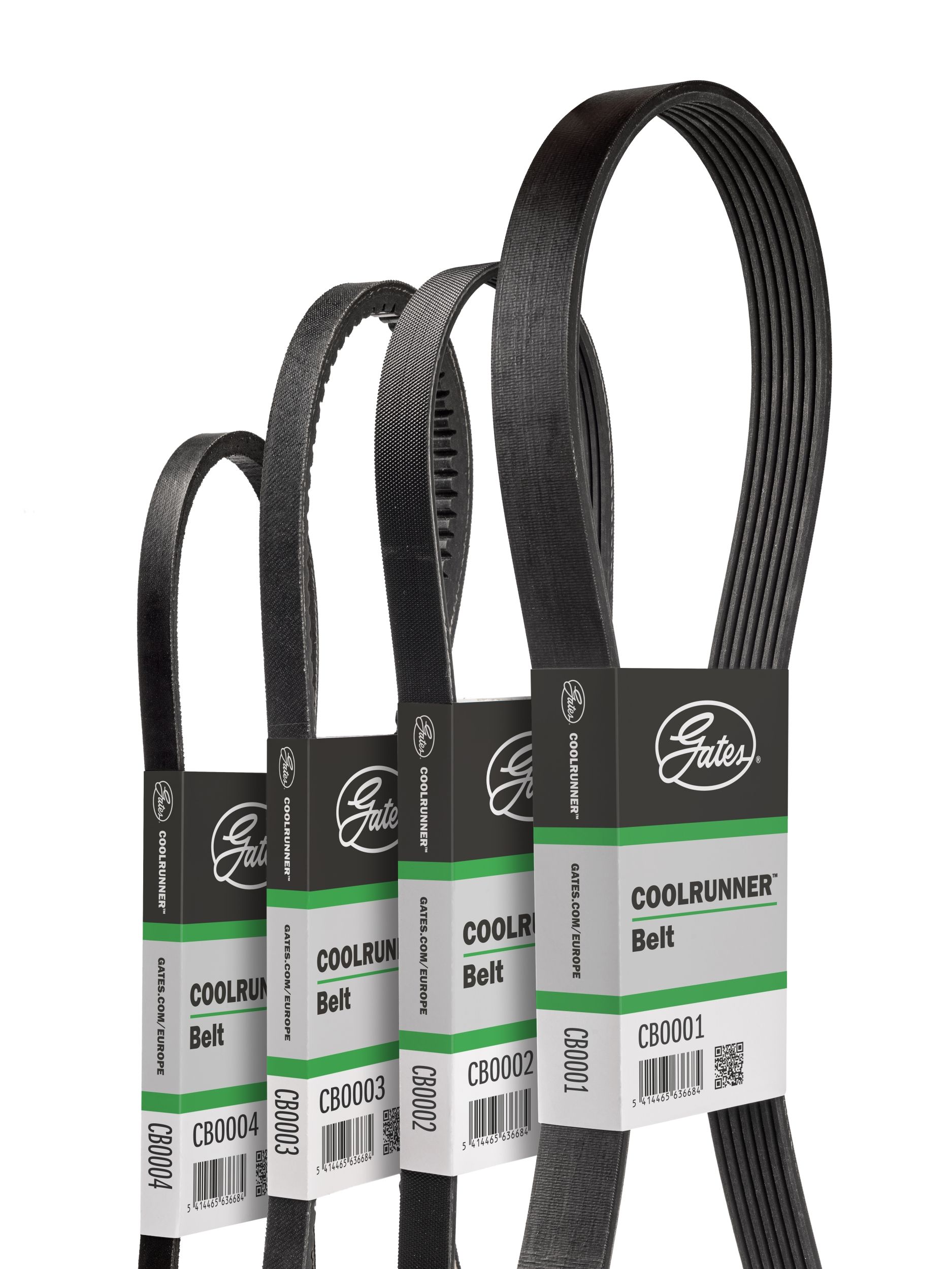 Gates CB0037 Drive Belt