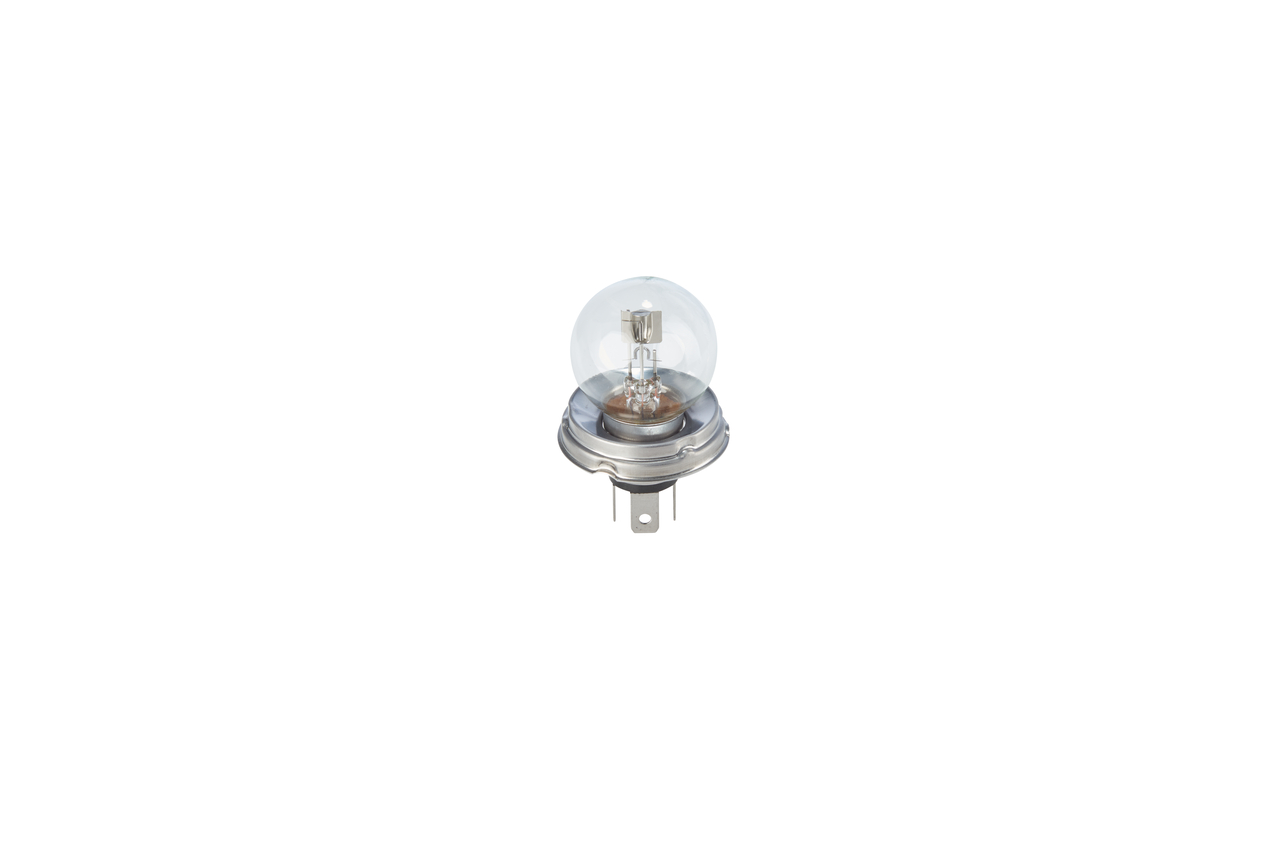 Bosch 1987302023 Headlight Bulb