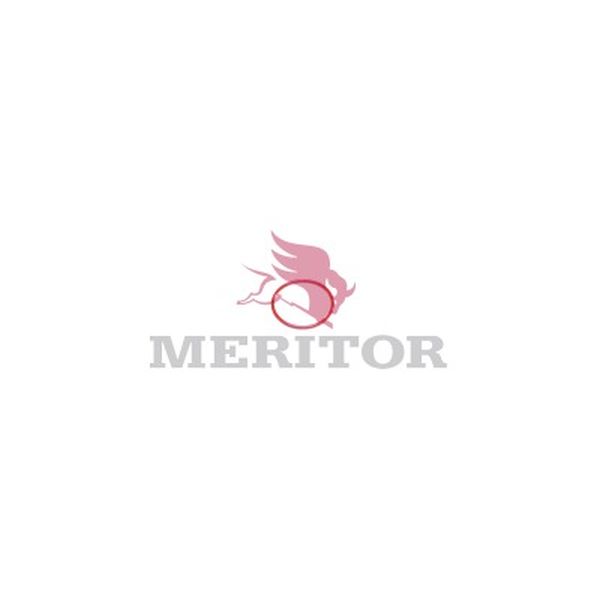 MERITOR HVS 21220668 O RING