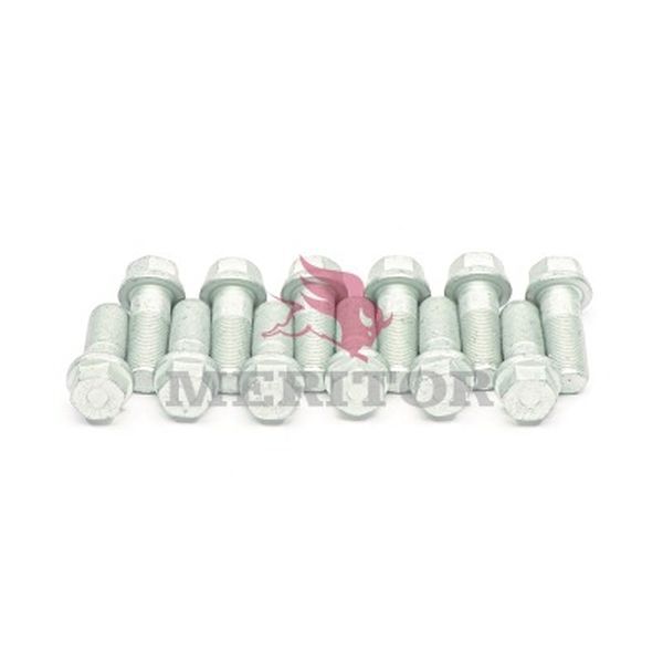 MERITOR HVS 21227433PK12 (BX12)[TOP] MOUNTING BOLT