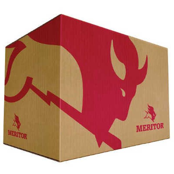 MERITOR HVS 99041045S OUTER BEARING 33213 - TM AXLE