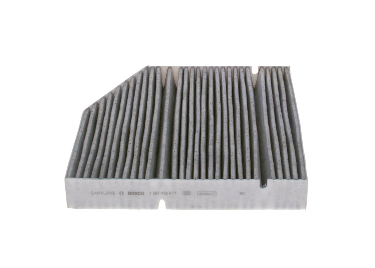 Bosch 1987435617 Pollen / Cabin Filter
