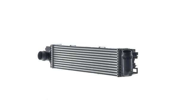Mahle CI31000S