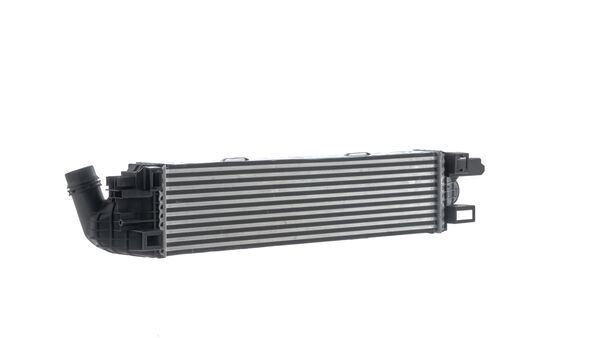 Mahle CI31000S