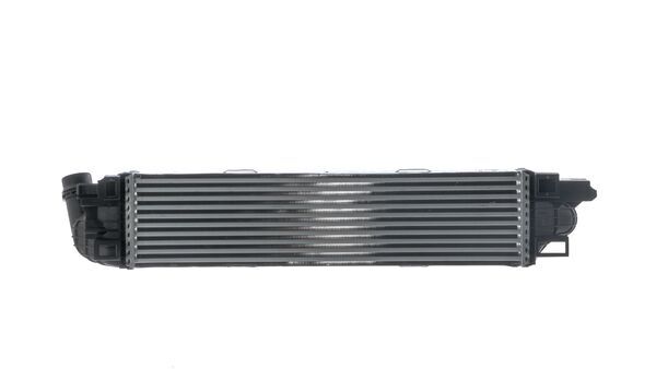 Mahle CI31000S