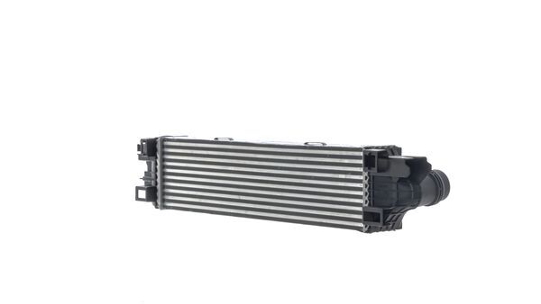 Mahle CI31000S