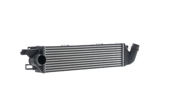 Mahle CI31000S