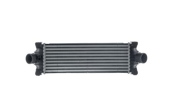 Mahle CI681000S