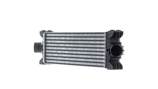 Mahle CI681000S